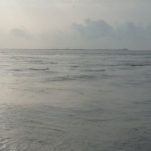 Meet your Posher, Amber rose